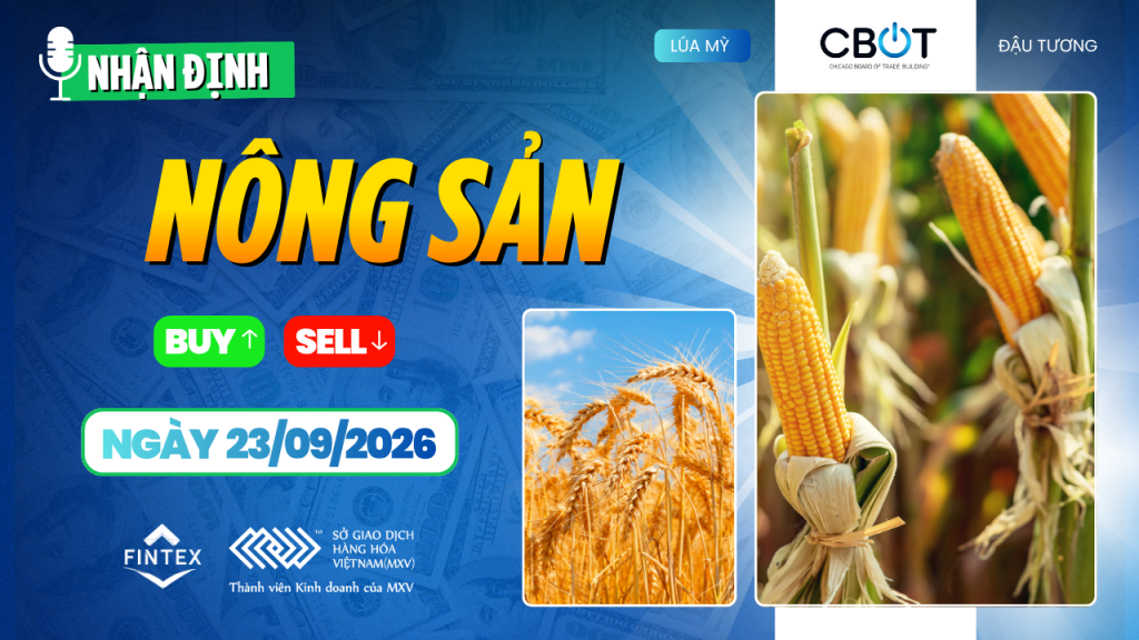 Nhận định thị trường nông sản ngày 23/09/2026 – ngô, đậu tương và lúa mì