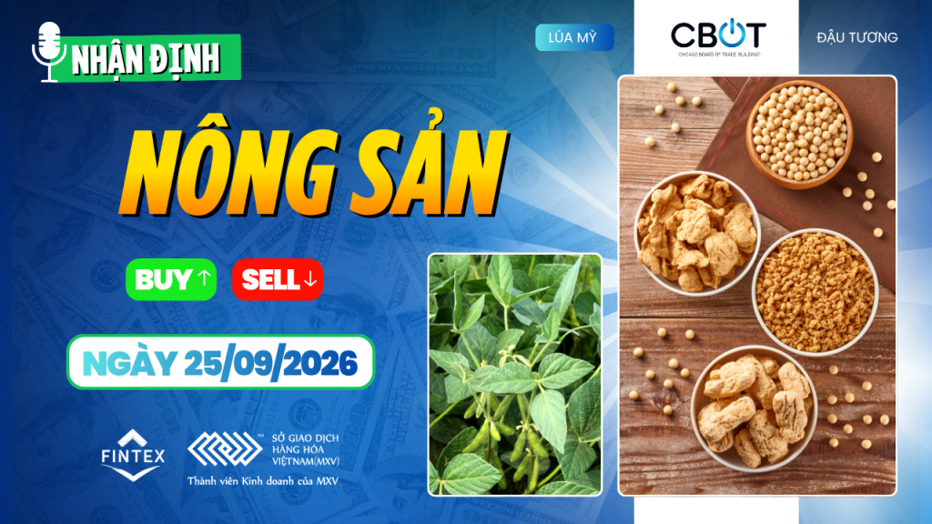 Nhận định thị trường nông sản ngày 25/09/2026: ngô, đậu tương và lúa mì