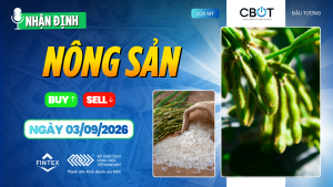 Nhận định thị trường nông sản 03/09/2026