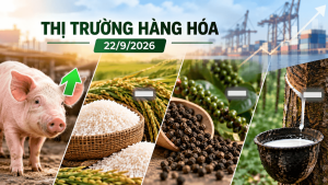 Thị trường hàng hóa ngày 22/09/2026