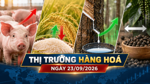 Thị trường hàng hóa ngày 23/09/2026