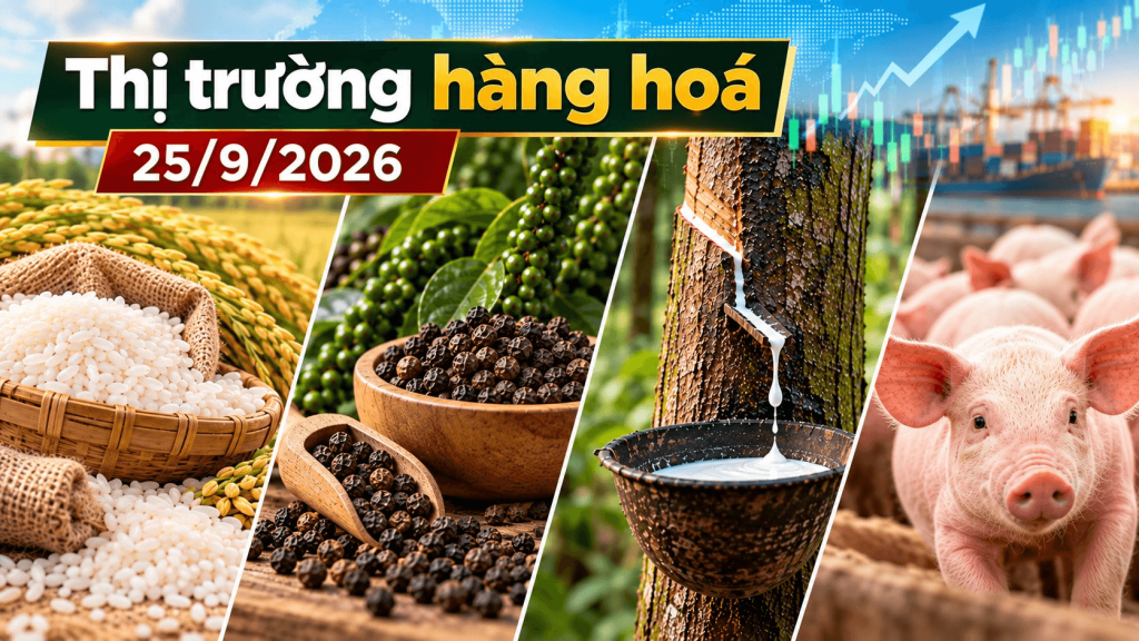 Thị trường hàng hóa ngày 25/09/2026