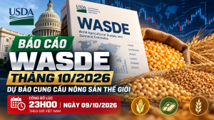 Báo cáo WASDE tháng 10/2026 dự báo cung cầu ngô, đậu tương và lúa mì