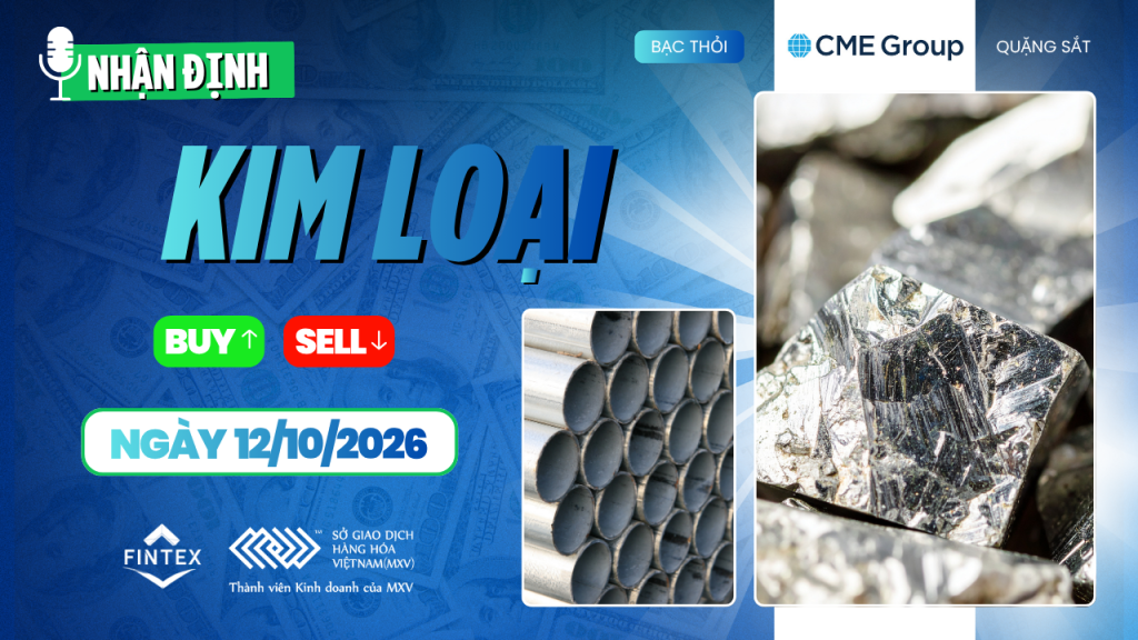 Nhận định thị trường kim loại ngày 12/10/2026