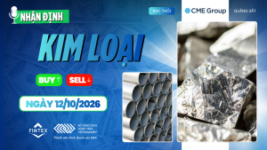 Nhận định thị trường kim loại ngày 12/10/2026