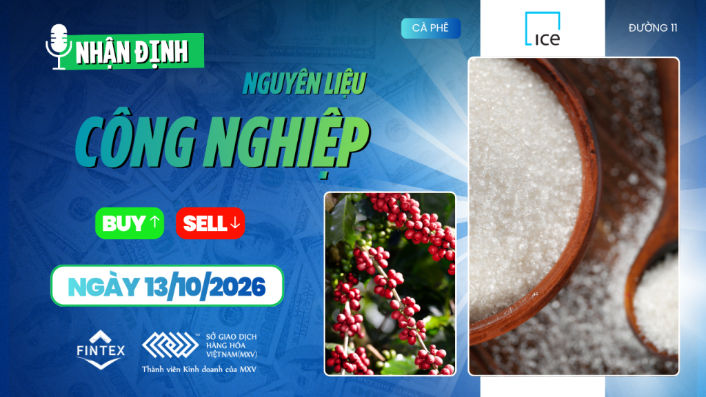 Nhận định thị trường nguyên liệu công nghiệp ngày 13/10/2026