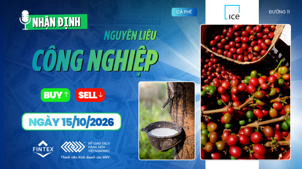 Nhận định thị trường nguyên liệu công nghiệp ngày 15/10/2026