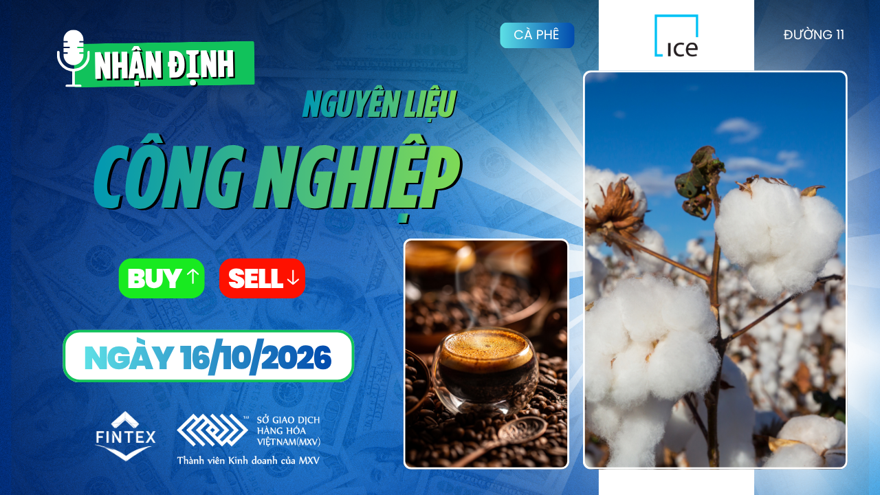Nhận định thị trường nguyên liệu công nghiệp ngày 16/10/2026
