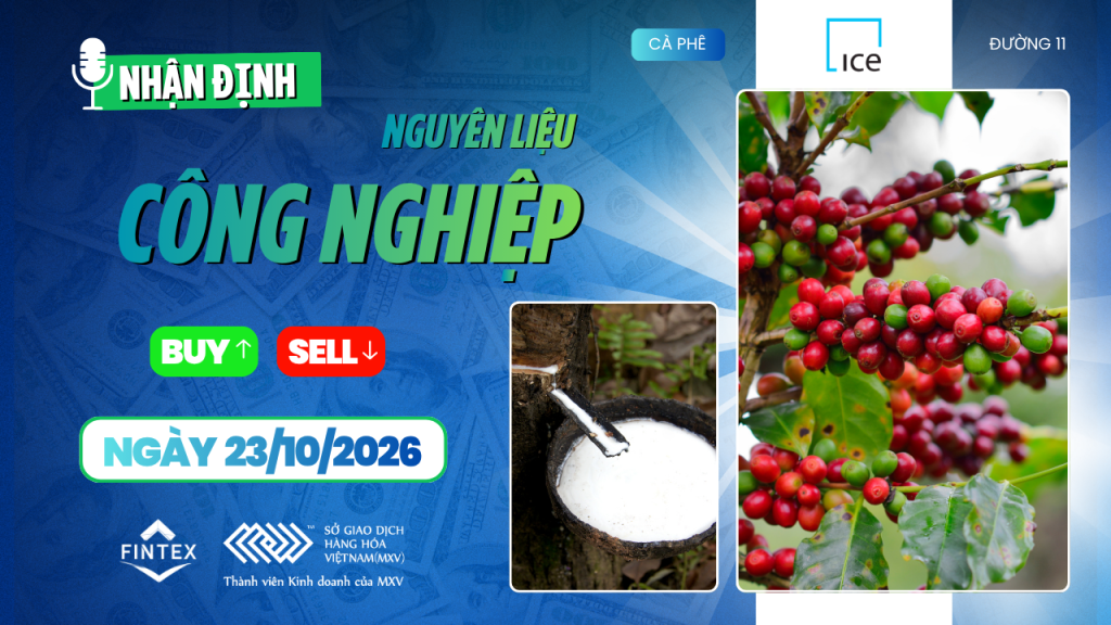 Nhận định thị trường nguyên liệu công nghiệp ngày 23/10/2026