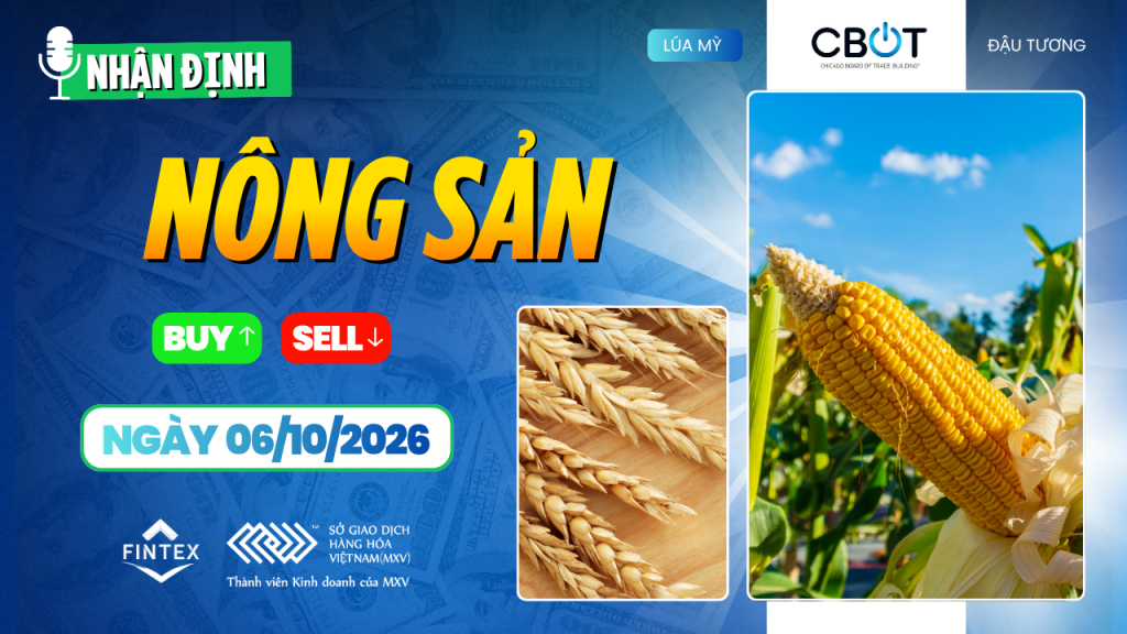 Nhận định thị trường nông sản ngày 06/10/2026: ngô, đậu tương và lúa mì