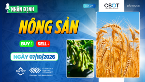 Nhận định thị trường nông sản ngày 07/10/2026: ngô, đậu tương và lúa mì
