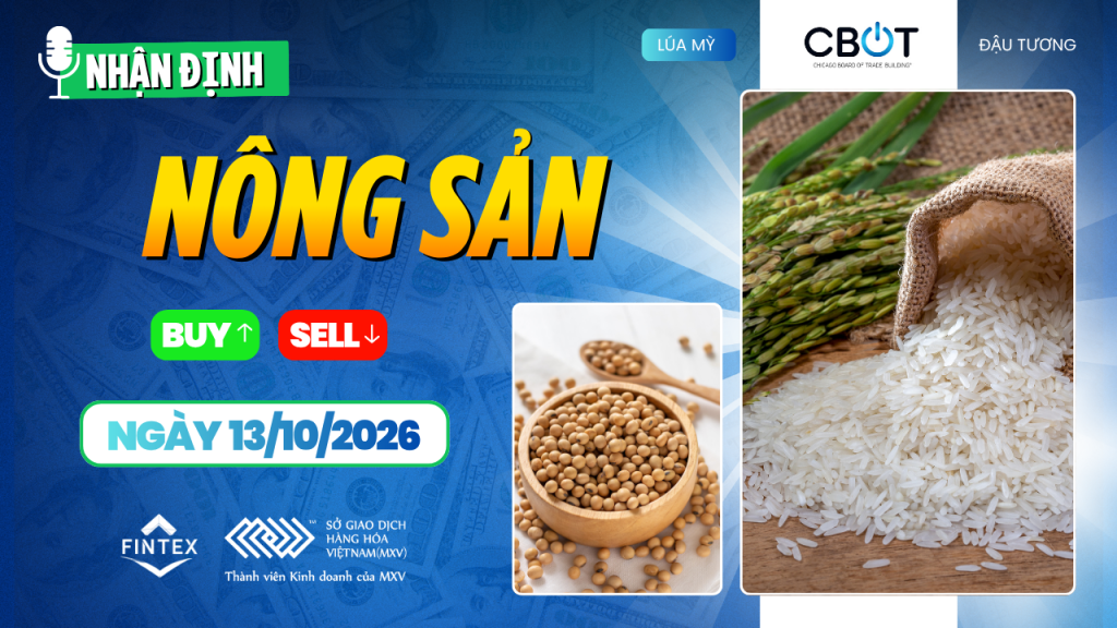 Nhận định thị trường nông sản ngày 13/10/2026 về ngô, đậu tương và lúa mì