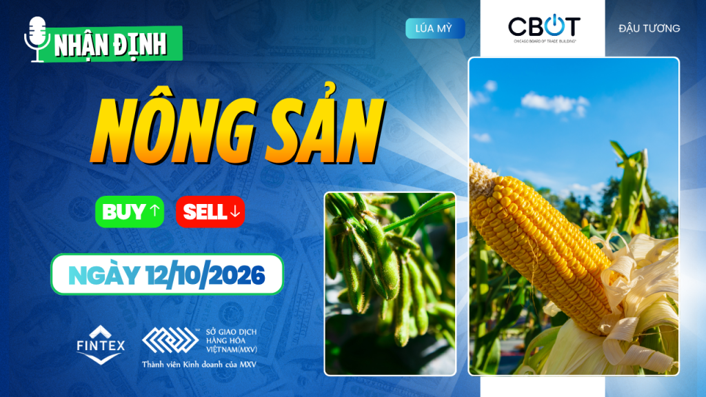 Nhận định thị trường nông sản ngày 12/10/2026 về ngô, đậu tương và lúa mì