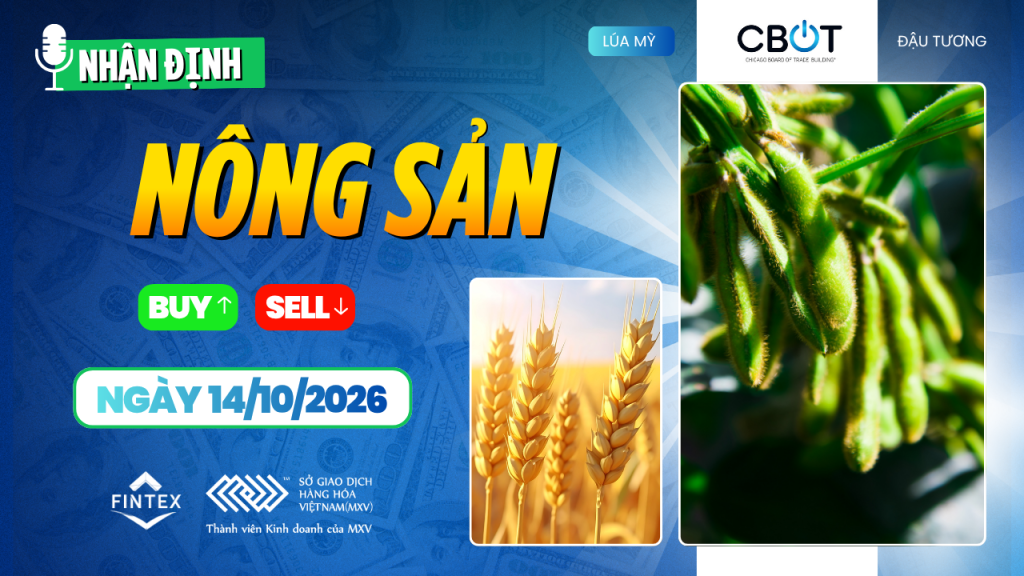 Nhận định thị trường nông sản ngày 14/10/2026 về giá ngô, đậu tương và lúa mì