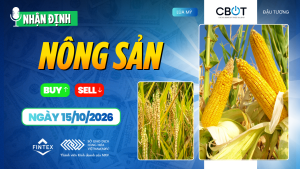 Nhận định thị trường nông sản ngày 15/10/2026 về ngô, đậu tương và lúa mì