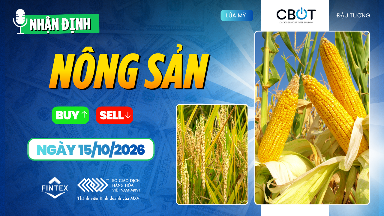 Nhận định thị trường nông sản ngày 15/10/2026 về ngô, đậu tương và lúa mì