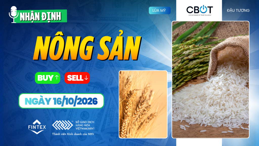 Nhận định thị trường nông sản ngày 16/10/2026 về giá ngô, đậu tương và lúa mì