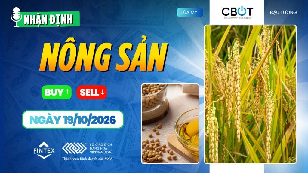 Nhận định thị trường nông sản ngày 19/10/2026, phân tích giá ngô, đậu tương và lúa mì