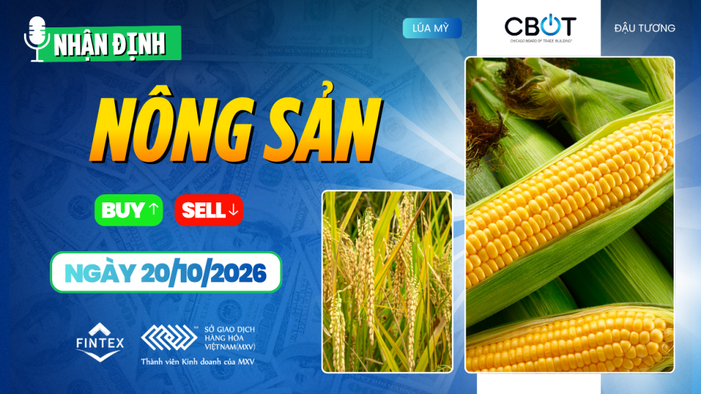 Nhận định thị trường nông sản ngày 20/10/2026