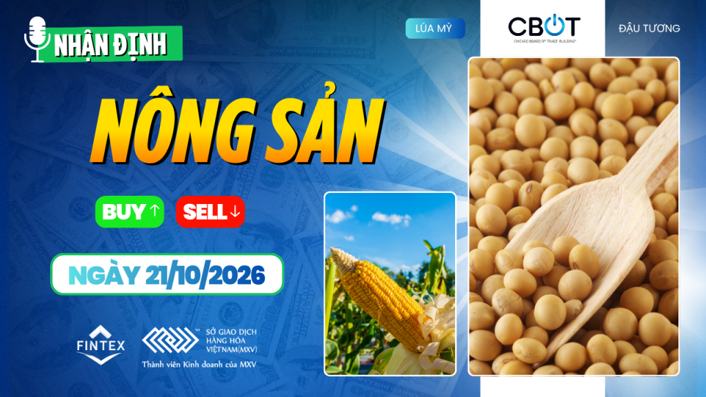 Nhận định thị trường nông sản ngày 21/10/2026
