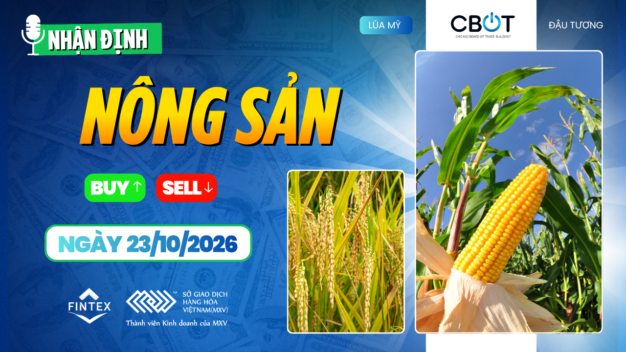 Nhận định thị trường nông sản ngày 23/10/2026