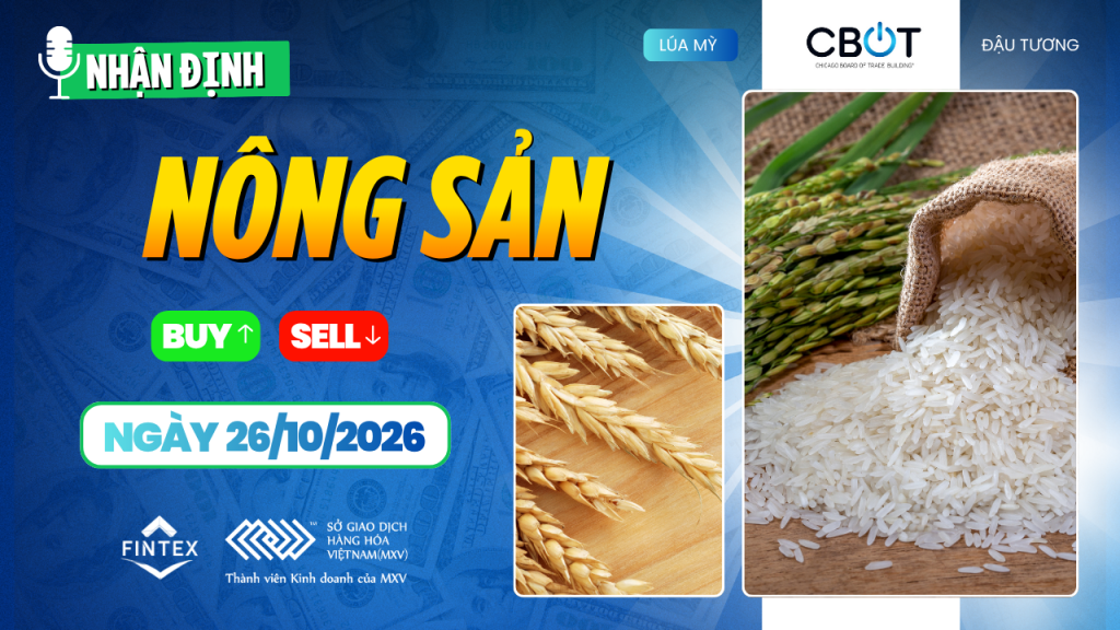 Nhận định thị trường nông sản ngày 26/10/2026