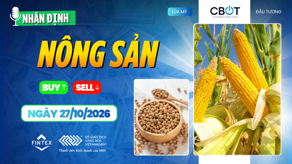 Nhận định thị trường nông sản ngày 27/10/2026
