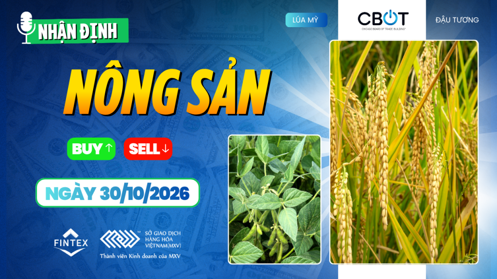 Nhận định thị trường nông sản ngày 30/10/2026