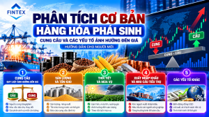 Phân tích cơ bản hàng hóa phái sinh và các yếu tố cung cầu ảnh hưởng đến giá