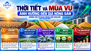 Thời tiết và mùa vụ ảnh hưởng đến giá nông sản trên thị trường hàng hóa
